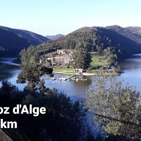 Casa Da Vila Figueiro Dos Vinhos Eksteriør bilde