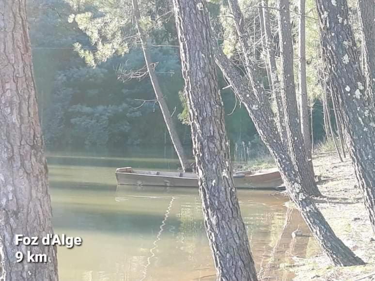 Casa Da Vila Figueiro Dos Vinhos Eksteriør bilde
