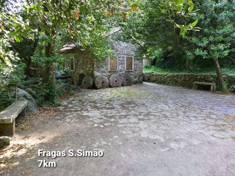 Casa Da Vila Figueiro Dos Vinhos Eksteriør bilde
