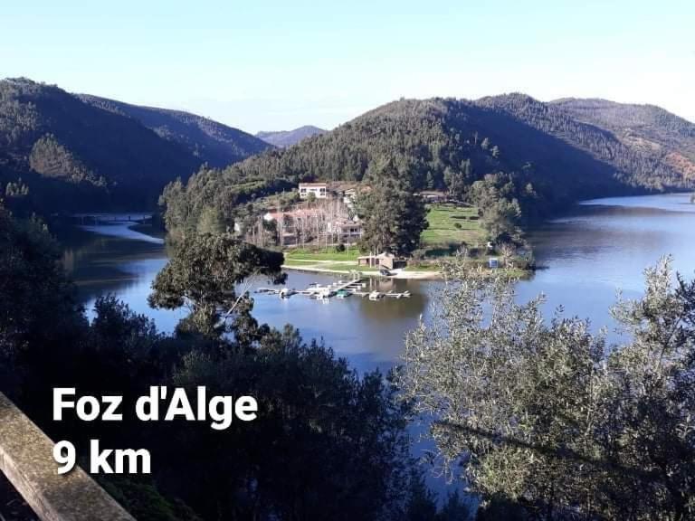 Casa Da Vila Figueiro Dos Vinhos Eksteriør bilde